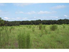 SE 97 Pl., Ocklawaha, FL 32179