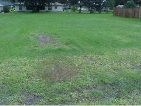 SE 71 Ave Rd., Belleview, FL 34420