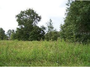 SE 26 Ter., Belleview, FL 34420