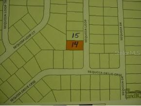 Sequoia Loop, Ocklawaha, FL 32179