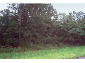 Marion Oaks Ln., Ocala, FL 34473