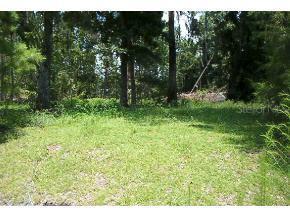12825 NW 171 Pl., Reddick, FL 32686