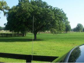 150 Ave., Williston, FL 32696