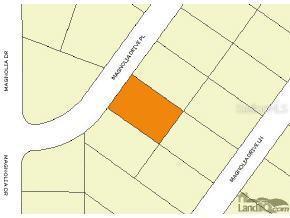 Magnolia Dr Pl., Ocklawaha, FL 32179