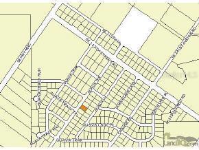 Guava Ter., Ocklawaha, FL 32179