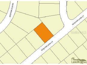 Sequoia Lp Ct., Ocklawaha, FL 32179