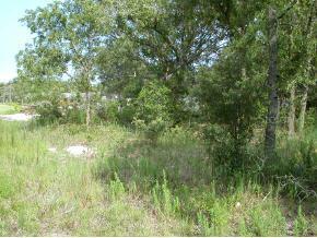SE 164 Pl., Summerfield, FL 34491