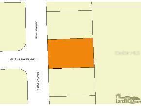 Guava Ps, Ocklawaha, FL 32179