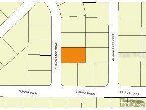 Guava Ps Trk, Ocklawaha, FL 32179