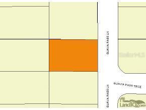 Guava Ps Ln., Ocklawaha, FL 32179