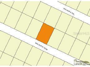 Maluka Trk, Ocklawaha, FL 32179