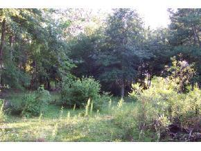 SW 129 Ct., Ocala, FL 34481