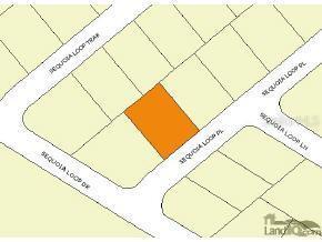 Sequoia Loop Place, Ocklawaha, FL 32179