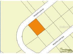 Sequoia Lp Dr., Ocklawaha, FL 32179