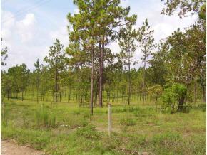 14850 NE 20 St (highway 316), Williston, FL 32696