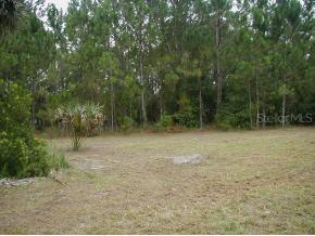 Gardenia Ave., Georgetown, FL 32139