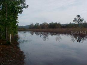 NE 114th Null Ave., Orange Springs, FL 32134