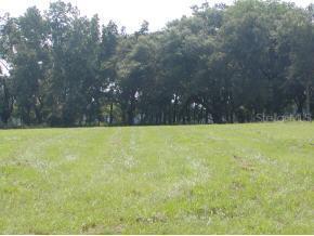 Cr 209, Oxford, FL 34484