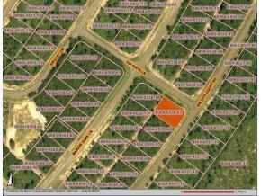 SW 20 Ct., Ocala, FL 34472