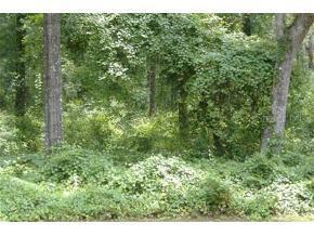 NW Northern Dancer Dr., Ocala, FL 34482