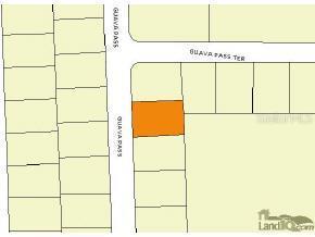 Guava Ps, Ocklawaha, FL 32179