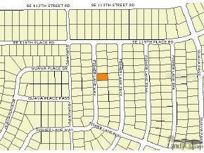 Fisher Ln Way, Ocklawaha, FL 32179