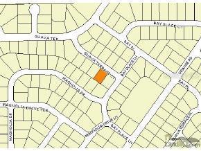 Guava Terr Ct., Ocklawaha, FL 32179