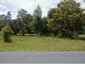 NE 236 Null Ter., Salt Springs, FL 32134