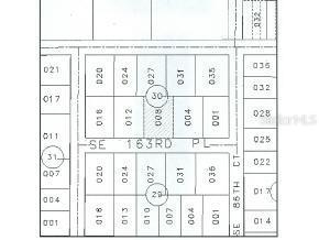 SE 163 Pl., Summerfield, FL 34491