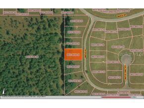 Maple Ln., Ocklawaha, FL 32179