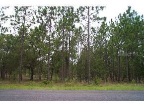 SW Admiral Landing Dr., Dunnellon, FL 34431