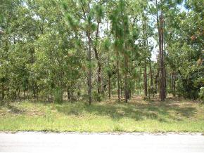 Locust Crs Loop, Ocala, FL 34472