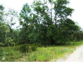 NE 107 Ct., Archer, FL 32618