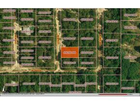 SE 89 Ct., Summerfield, FL 34491