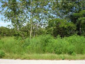 SE 90 Ct., Belleview, FL 34420