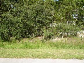 SE 86 Ct., Belleview, FL 34420