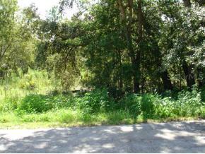 SE 86 Ct., Belleview, FL 34420