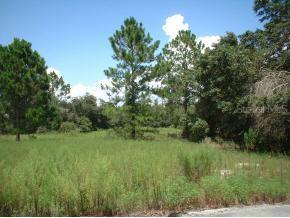 Malauka Dr., Ocala, FL 34472