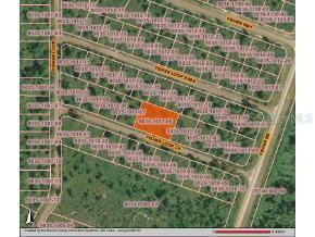 Fisher Loop Ln., Ocklawaha, FL 32179