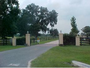 12910 NW 82 St Rd., Ocala, FL 34482