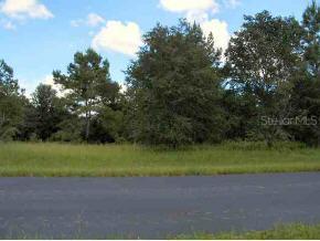 NW 141 Ave., Ocala, FL 34482