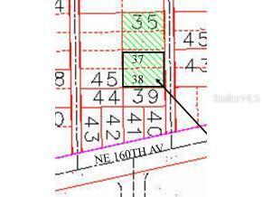 NE 191 Null Ln., Fort Mccoy, FL 32134