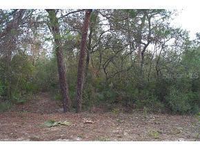 SW 114 St., Ocala, FL 34476