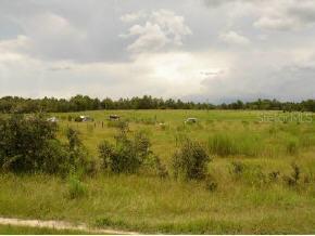 NE 106 Ter., Bronson, FL 32621