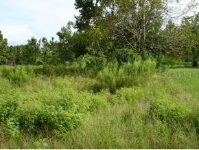 SE 143 Ln., Summerfield, FL 34491