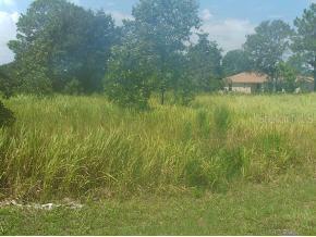 SE Water Trak, Ocala, FL 34473