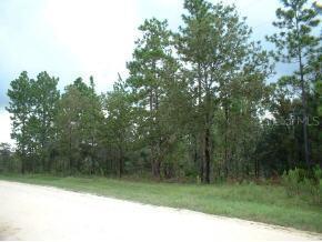 SW 165 Ave Rd., Ocala, FL 34481