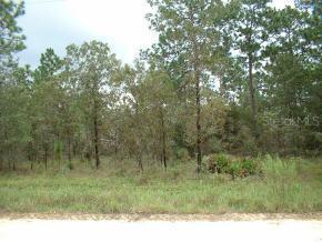 SW 165 Ave Rd., Ocala, FL 34481