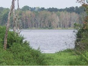 SE 27 Pl Null Rd., Silver Springs, FL 32179