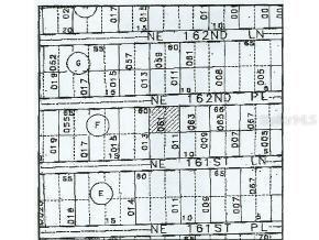 NE 162 Pl., Citra, FL 32113